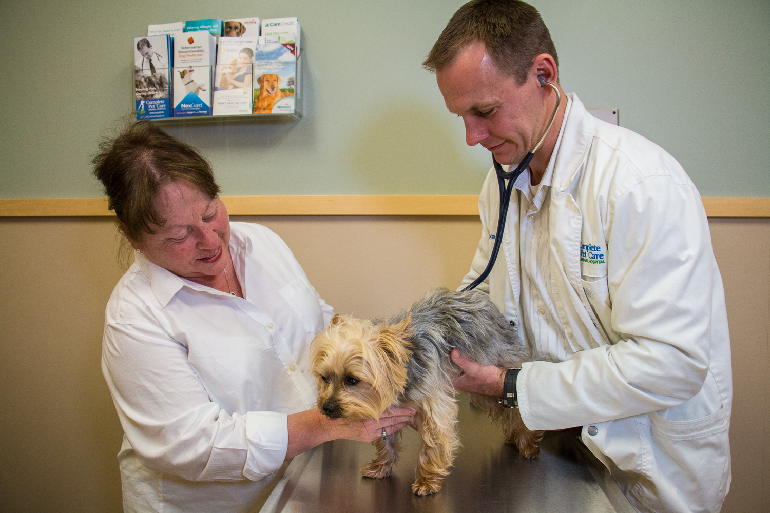 57 HQ Photos Complete Pet Care At Heritage - Heritage Animal Hospital | Your Complete Pet Care Facility