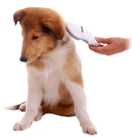 Image result for pet Microchip transparent